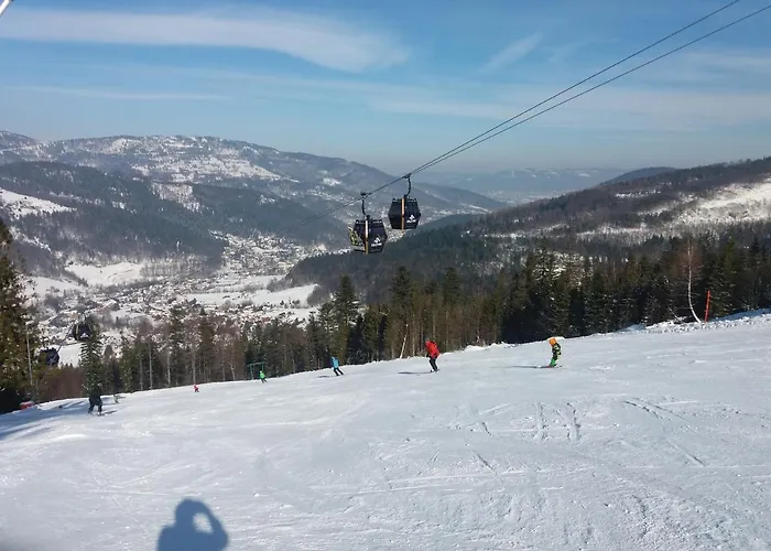 Rosa ホームステイ *