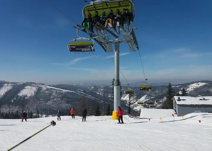 Rosa * שצ'צ'ירק