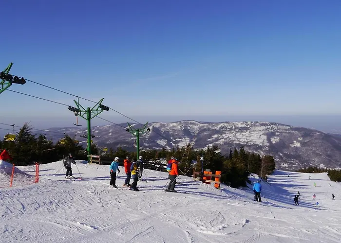 Rosa シュチルク